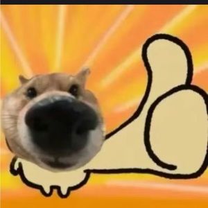 Meet your Posher, Yawen